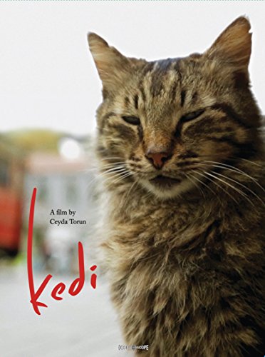 KEDI  - DVD