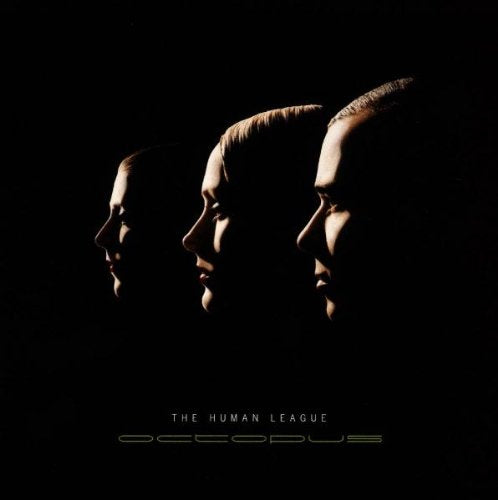 JAMES, PAUL - ACOUSTIC BLUES