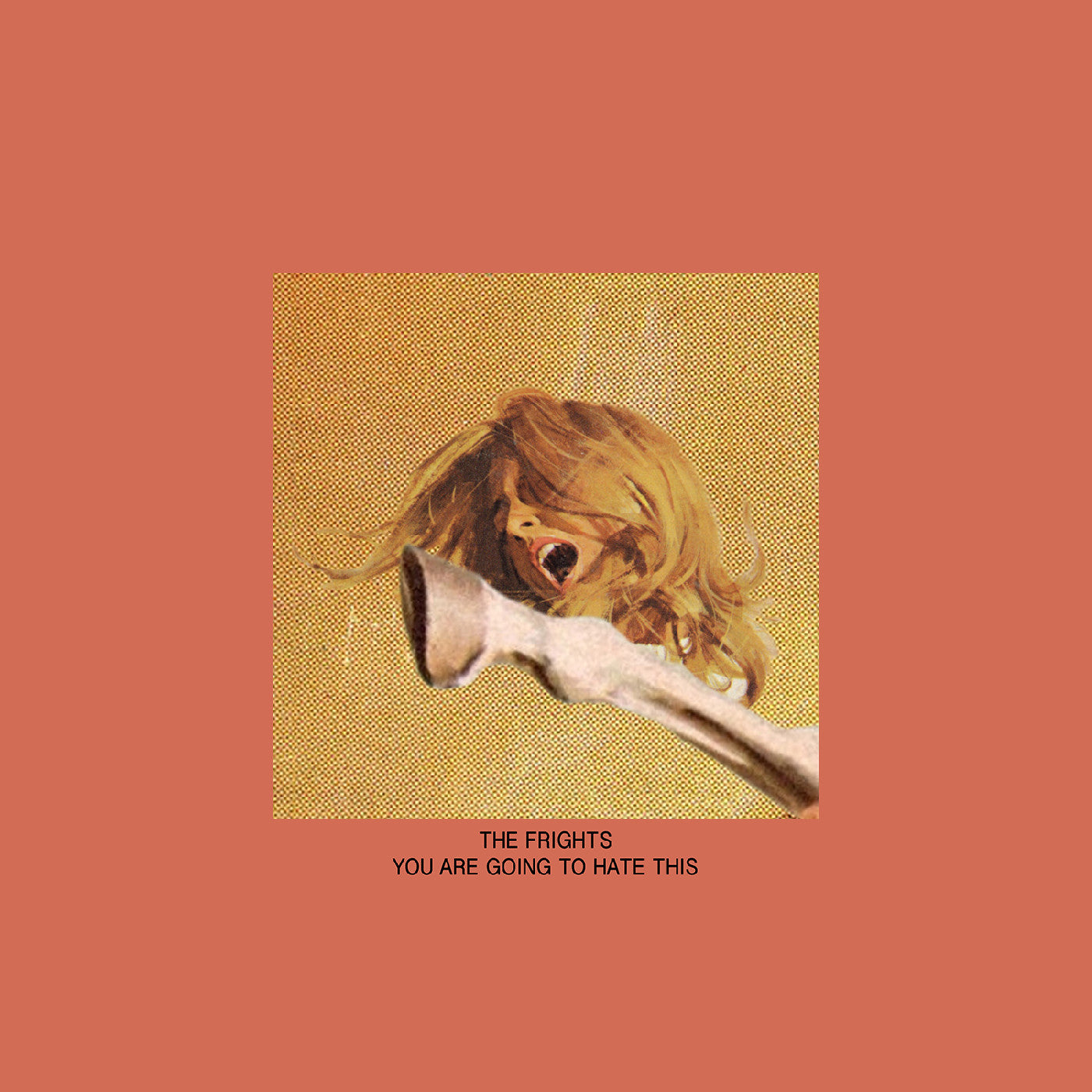 FRIGHTS, THE - YOU ARE GOING TO HATE THIS