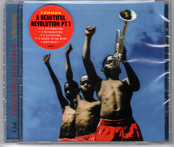 COMMON  - A BEAUTIFUL REVOLUTION PT.1