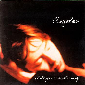 ANGELOU  - WHILE YOU WERE SLEEPING