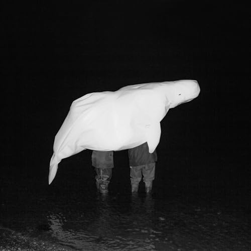 SAFIA NOLIN - UFO RELIGION (VINYL)