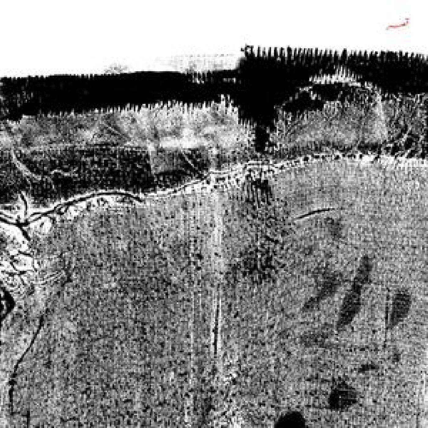SHEHERAZAAD - QASR