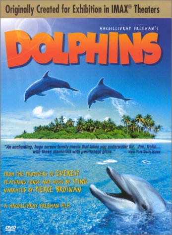 DOLPHINS [IMPORT]