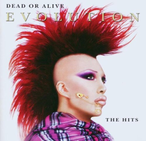 DEAD OR ALIVE - EVOLUTION: THE HITS