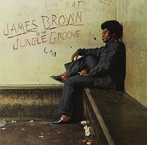 BROWN, JAMES - IN THE JUNGLE GROOVE