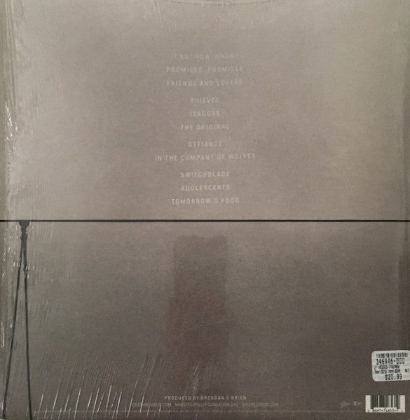 Incubus - If Not Now, When? (Used LP)