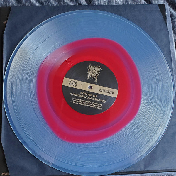 Malignant Altar - Realms OF Exquisite Morbidity (Clear W/Red) (Used LP)