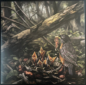 Accia Strain - Step Into The Light (Sanctuary) (Used LP)