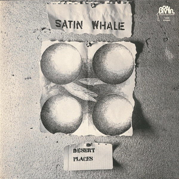 Satin Whale - Desert Places (Used LP)