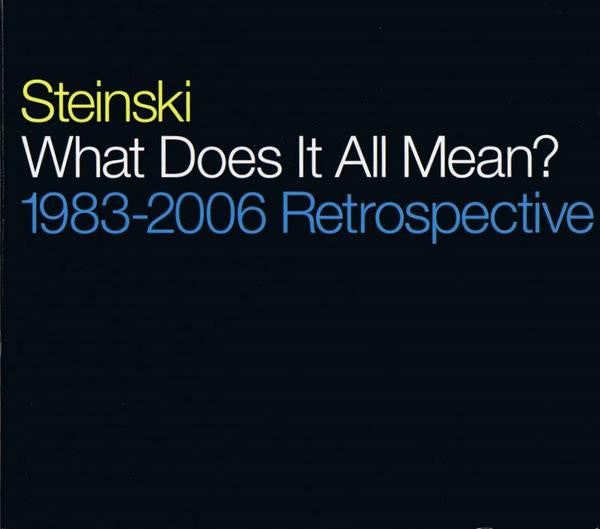 STEINSKI  - WHAT DOES IT ALL MEAN 1983-2006