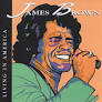 BROWN, JAMES  - LIVING IN AMERICA-HITS OF THE 80'S