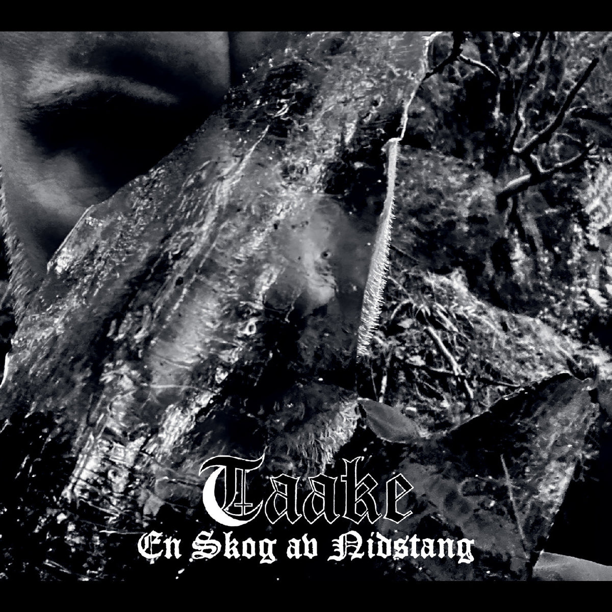 TAAKE - EN SKOG AV NIDSTANG