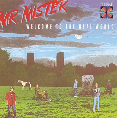 MR. MISTER - WELCOME TO THE REAL WORLD