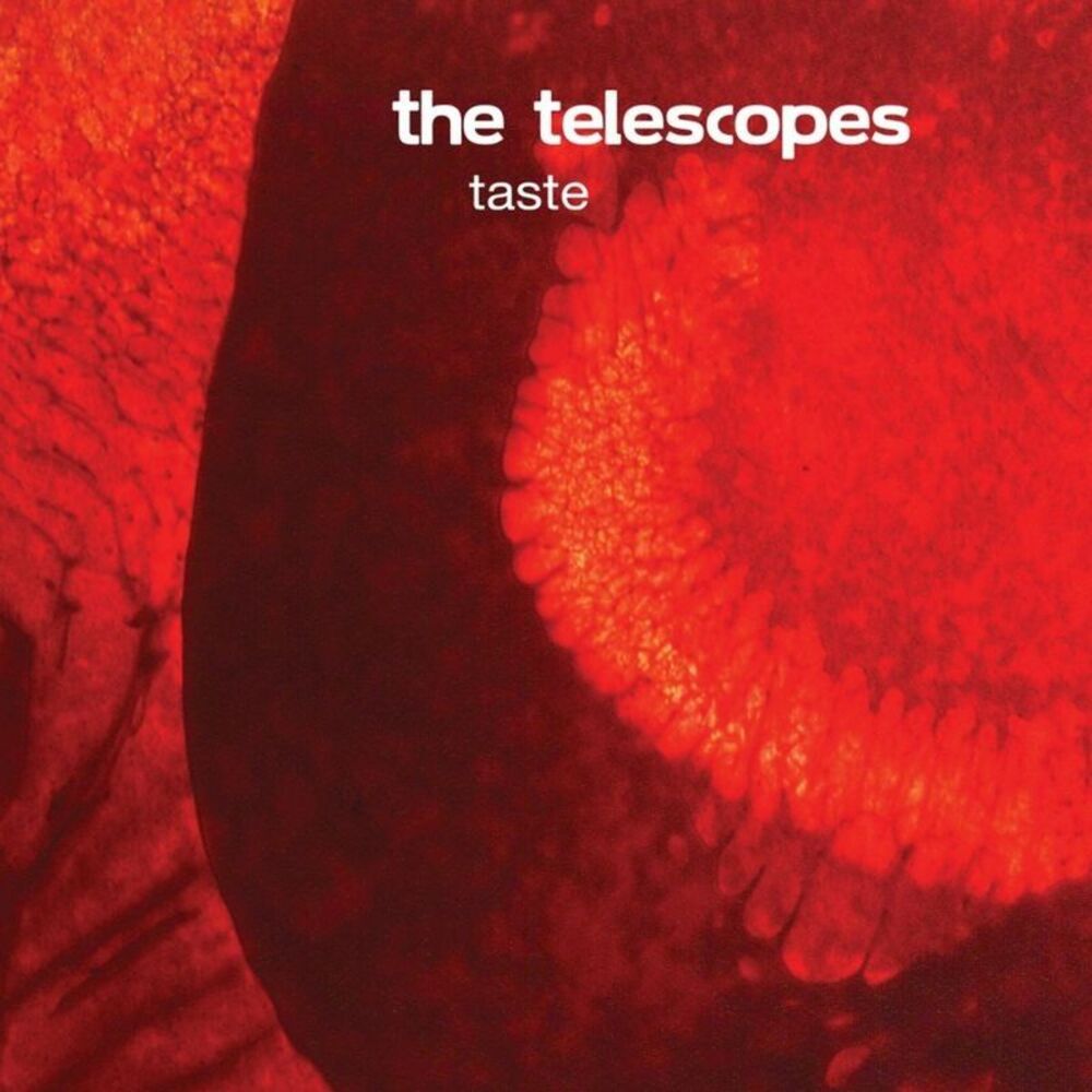 TELESCOPES  - TASTE