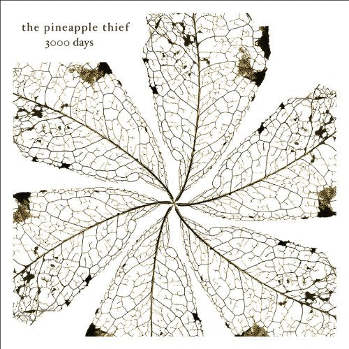 PINEAPPLE THIEF - PINEAPPLE THIEF - 3000 DAYS