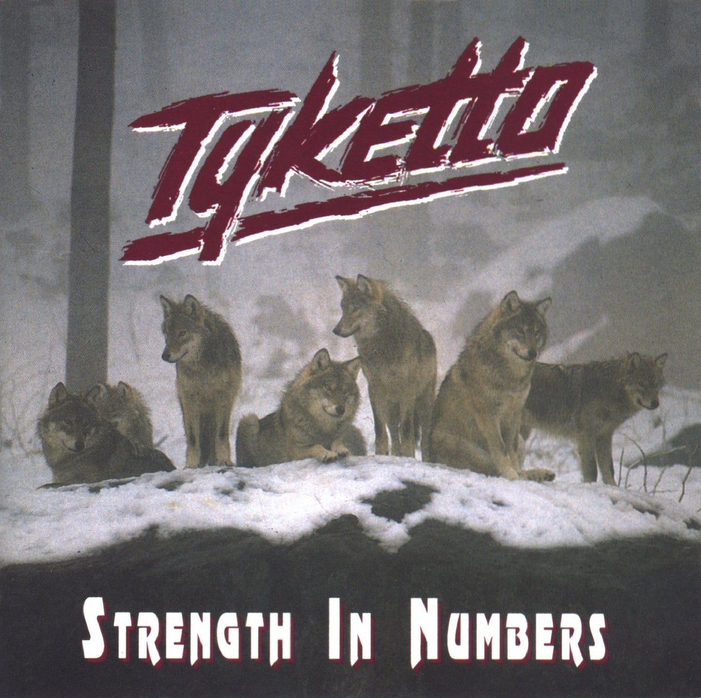 TYKETTO  - STRENGTH IN NUMBERS