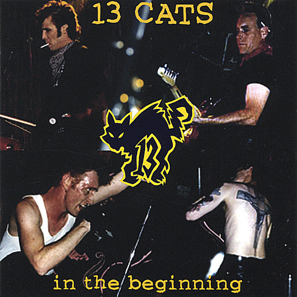13 CATS  - IN THE BEGINNING