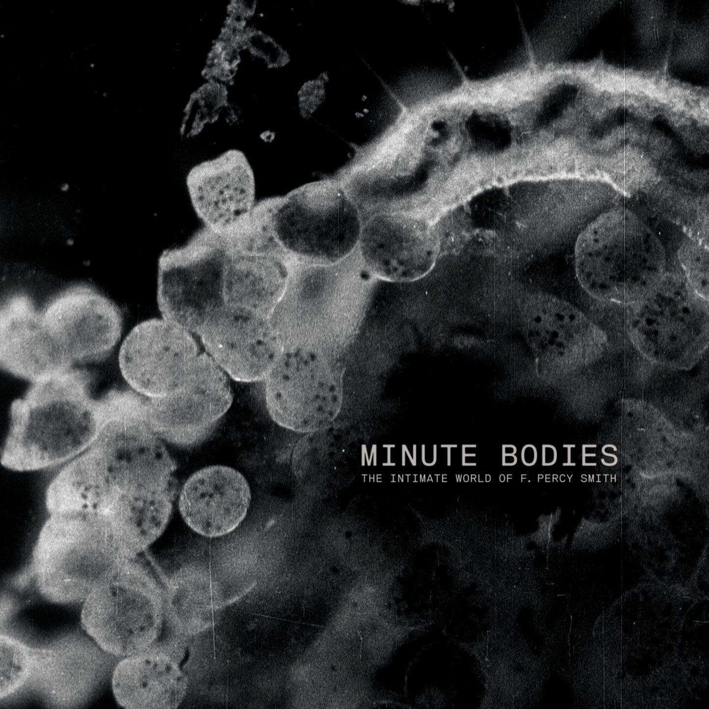 TINDERSTICKS  - MINUTE BODIES (CD/DVD)