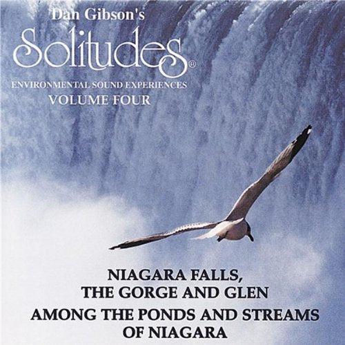 DAN GIBSON - SOLITUDES, VOL. 4