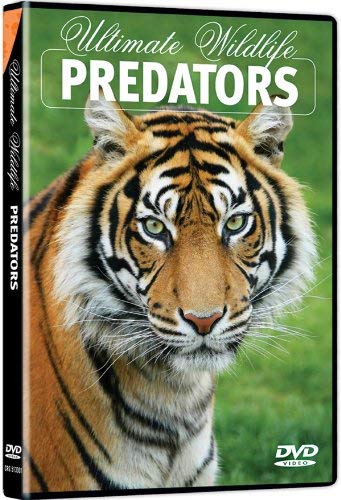 ULTIMATE WILDLIFE - PREDATORS