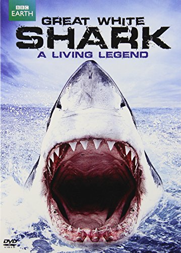 GREAT WHITE SHARK: A LIVING LEGEND