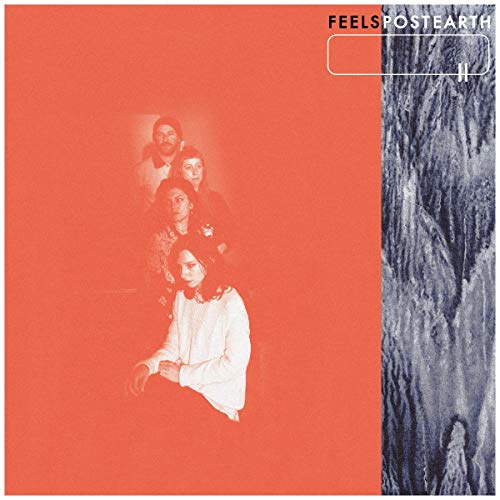 FEELS - POST EARTH (VINYL)