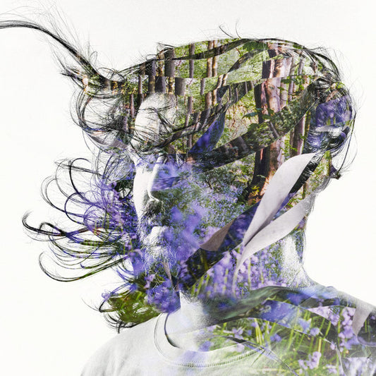 BIBIO  - RIBBONS