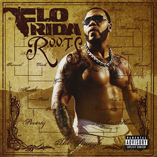 FLO RIDA - R.O.O.T.S