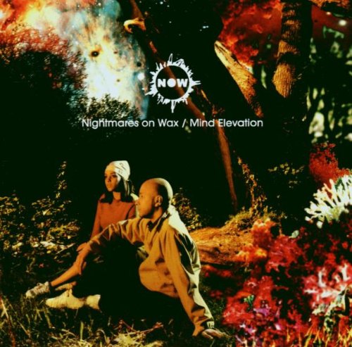 NIGHTMARES ON WAX - MIND ELEVATION