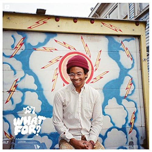 TORO Y MOI - WHAT FOR (VINYL)
