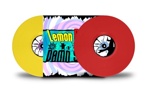 LEMON DEMON - DAMN SKIPPY (2LP)