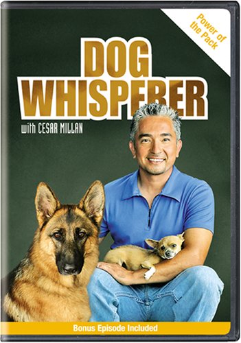 DOG WHISPERER  - DVD-POWER OF THE PACK