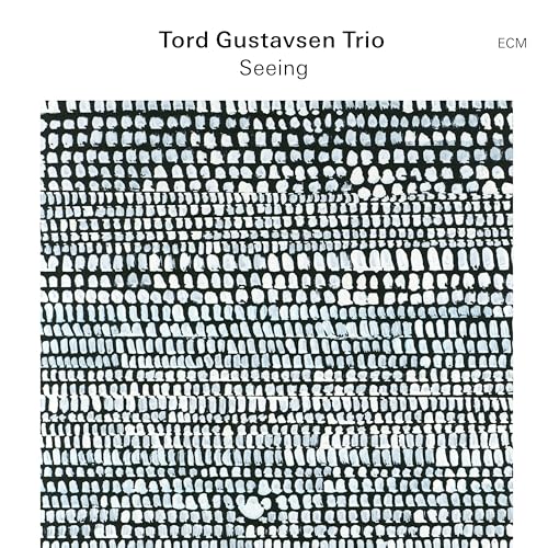 TORD GUSTAVSEN - SEEING (CD)