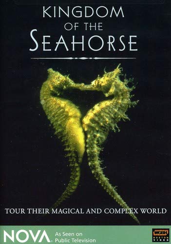 KINGDOM OF THE SEAHORSE