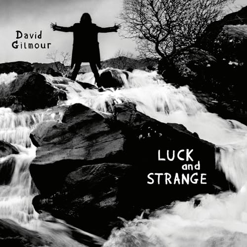 DAVID GILMOUR - LUCK AND STRANGE (STANDARD BLACK VINYL)