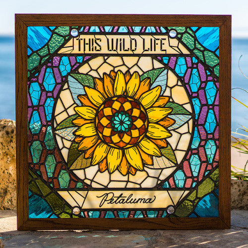 THIS WILD LIFE - PETALUMA