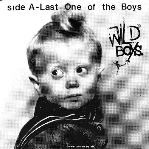 WILD BOYS - WILD BOYS - LAST ONE OF THE BOYS B/W WE'RE ONLY MONSTERS (VINYL)