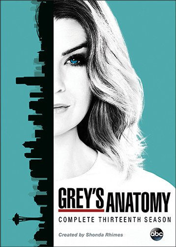 GREY'S ANATOMY: THE COMPLETE THIRTEENTH SEASON (SOUS-TITRES FRANAIS)