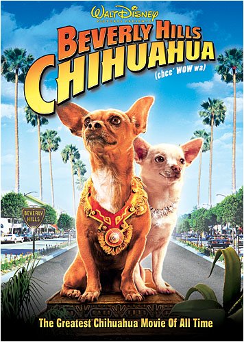 BEVERLY HILLS CHIHUAHUA