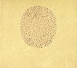 BANHART, DEVENDRA - NINO ROJO