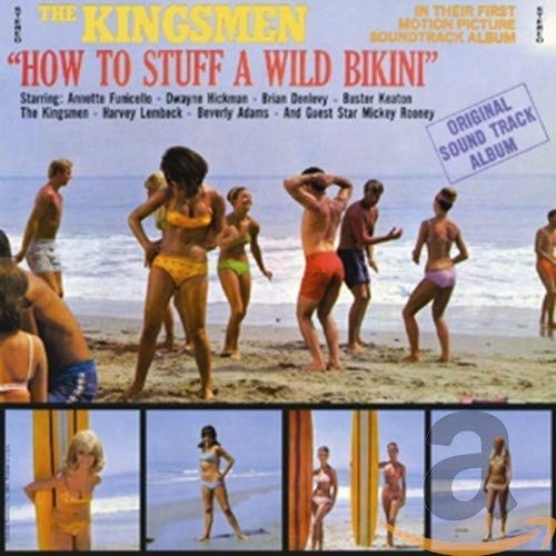 SOUNDTRACK - HOW TO STUFF A WILD BIKINI