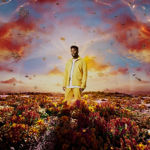 NONSO AMADI - WHEN IT BLOOMS (CD)