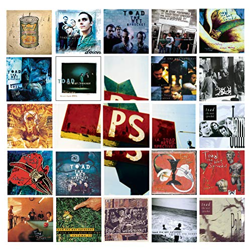 TOAD THE WET SPROCKET - P.S.: A TOAD RETROSPECTIVE (W/