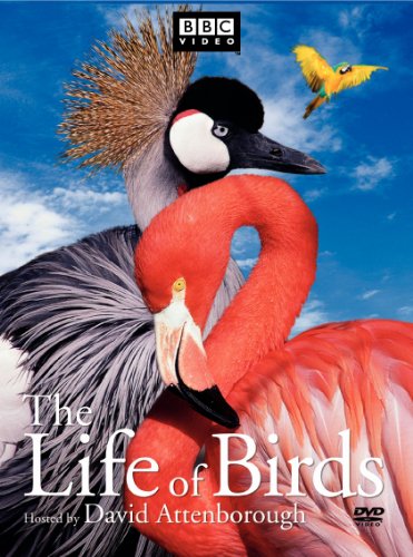 LIFE OF BIRDS (FULL SCREEN) [3 DISCS]