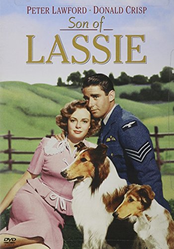 SON OF LASSIE [IMPORT]