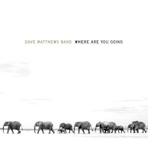 DAVE MATTHEWS BAND - WHERE ARE YOU GOING: THE SINGLES (VINYL)