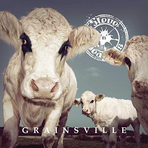 STEVE 'N' SEAGULLS - GRAINSVILLE