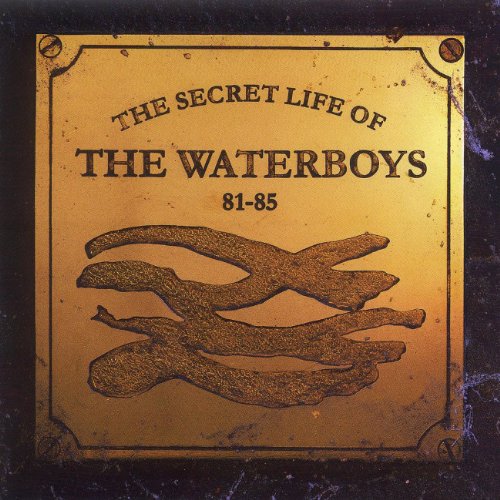 WATERBOYS - 1981-1985 SECRET LIFE OF