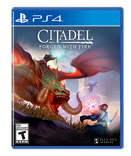 CITADEL: FORGED WITH FIRE - PS4